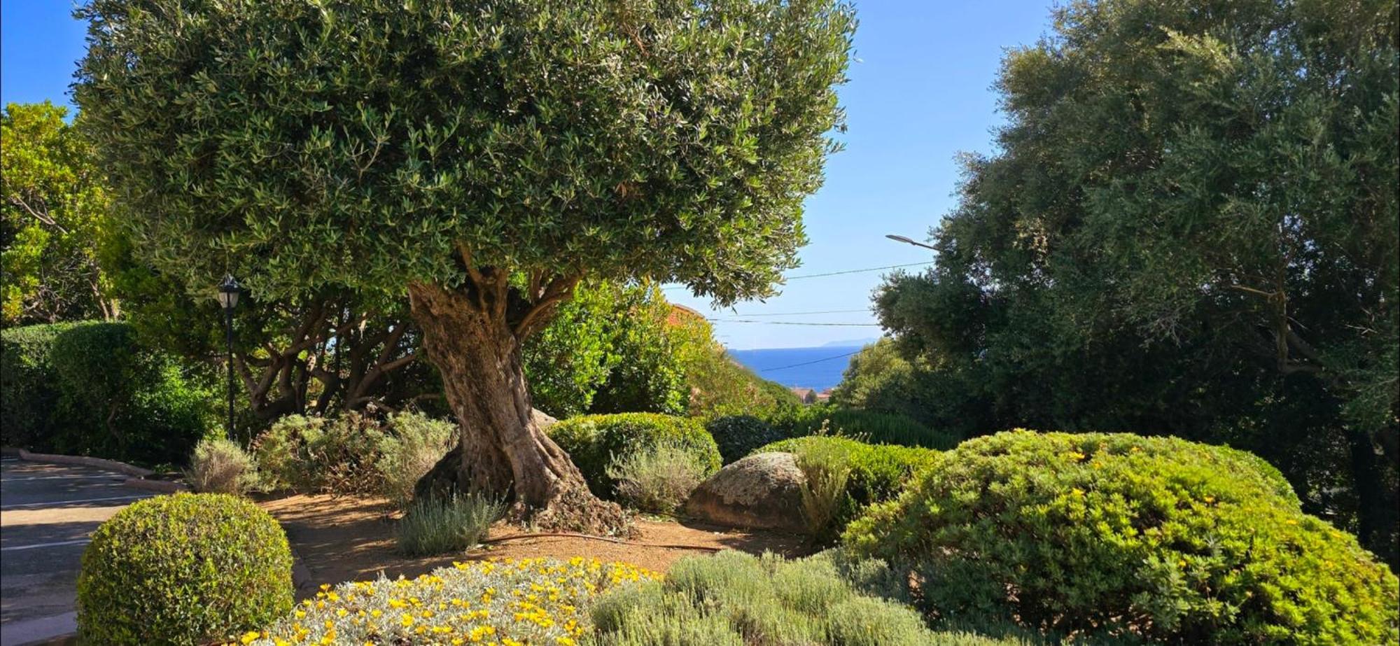 Hotel Cala Di L'Oru LʼÎle-Rousse Εξωτερικό φωτογραφία