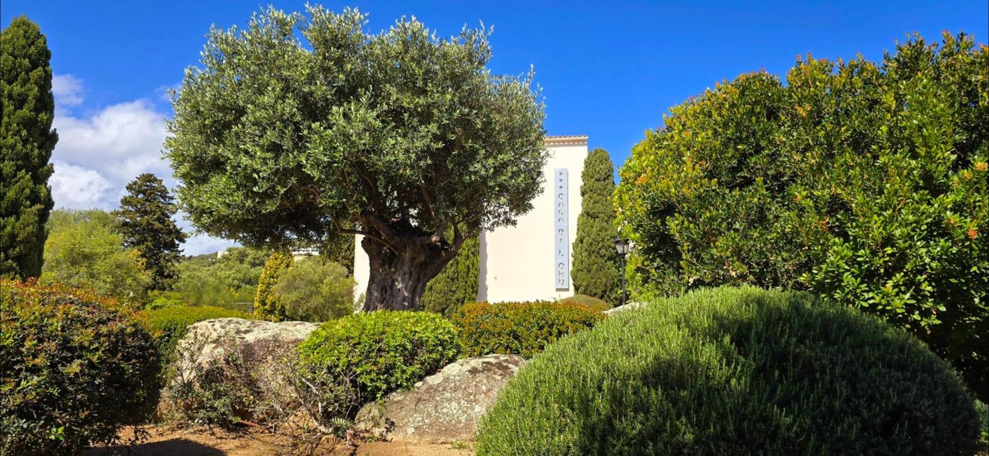 Hotel Cala Di L'Oru LʼÎle-Rousse Εξωτερικό φωτογραφία